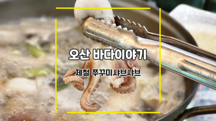  [오산 바다이야기] 제철 쭈꾸미샤브샤브