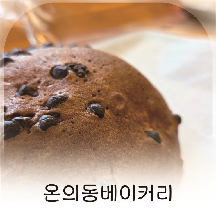  남춘천역빵집 춘천빵지순례 온의동베이커리 데이트 코스로 추천