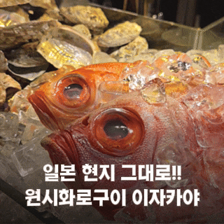  안담 로바다야키 신내 망우 이자카야 일식