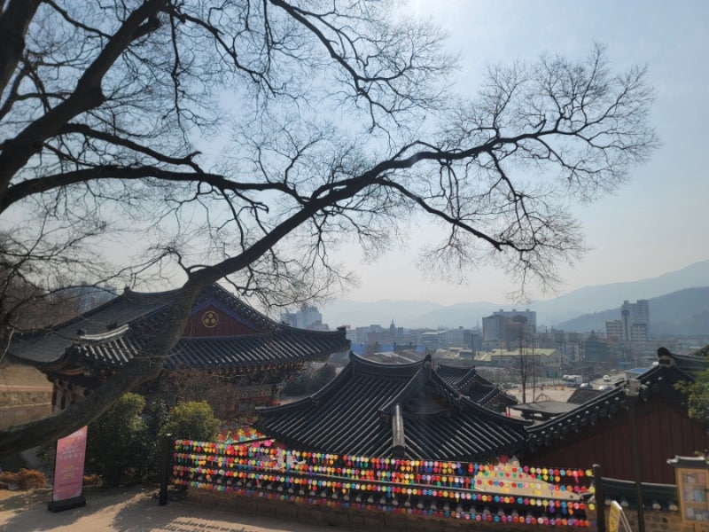 사진 8