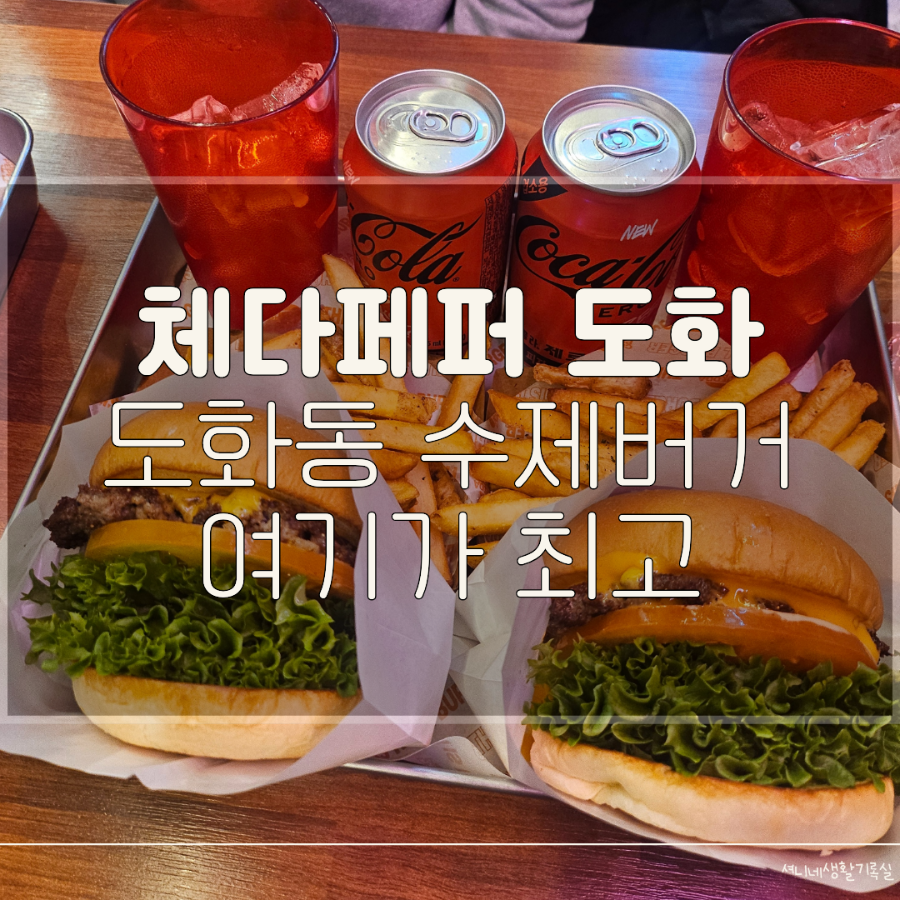체다페퍼 도화점 사진 1