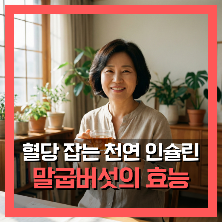  말굽버섯 효능, 50대 혈당 잡는 천연 인슐린 이렇게 드세요