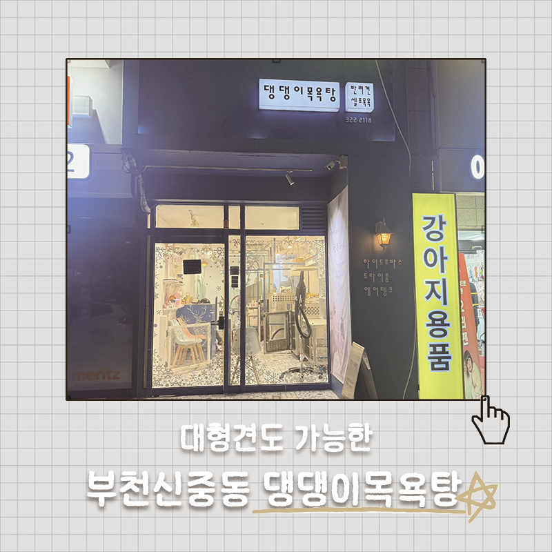 사진 3