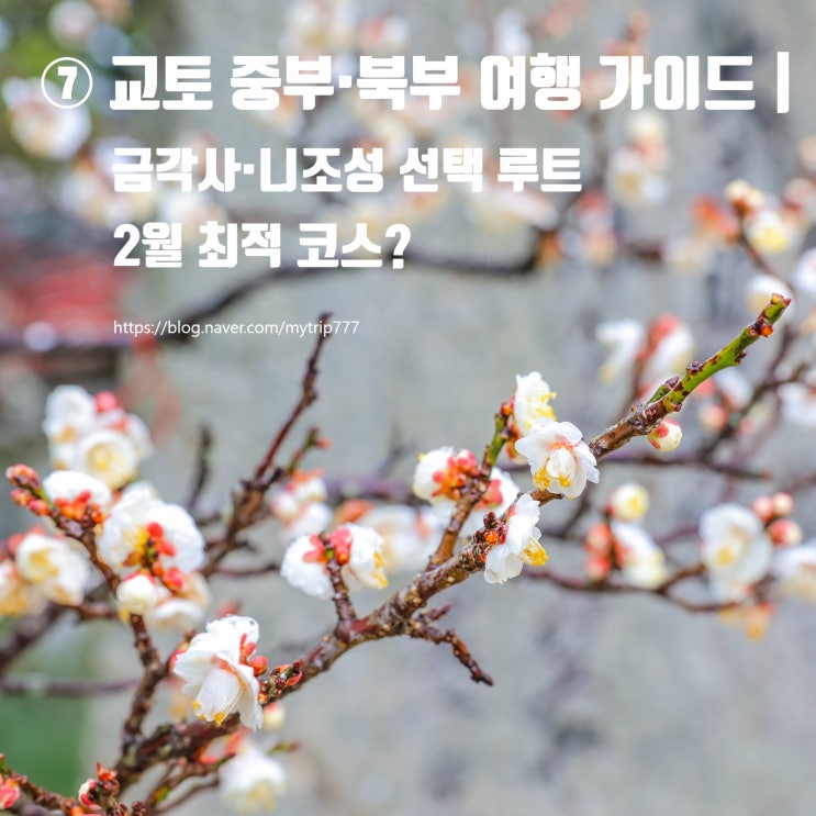  ⑦ 교토 중부·북부 여행 가이드｜금각사·니조성 선택 루트