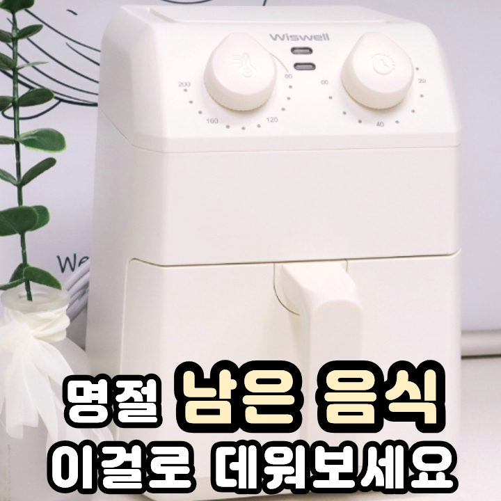  소형 에어프라이어 공간 부담 없는 1인용 위즈웰 써봤어요