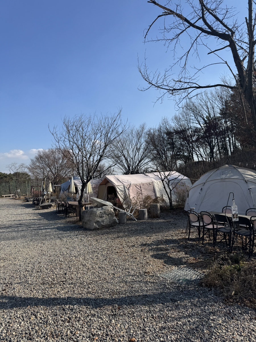 뚜바뚜바 사진 5