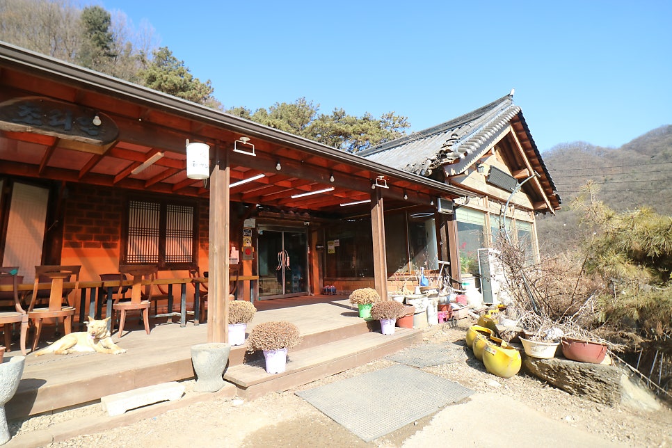 초리연 사진 2