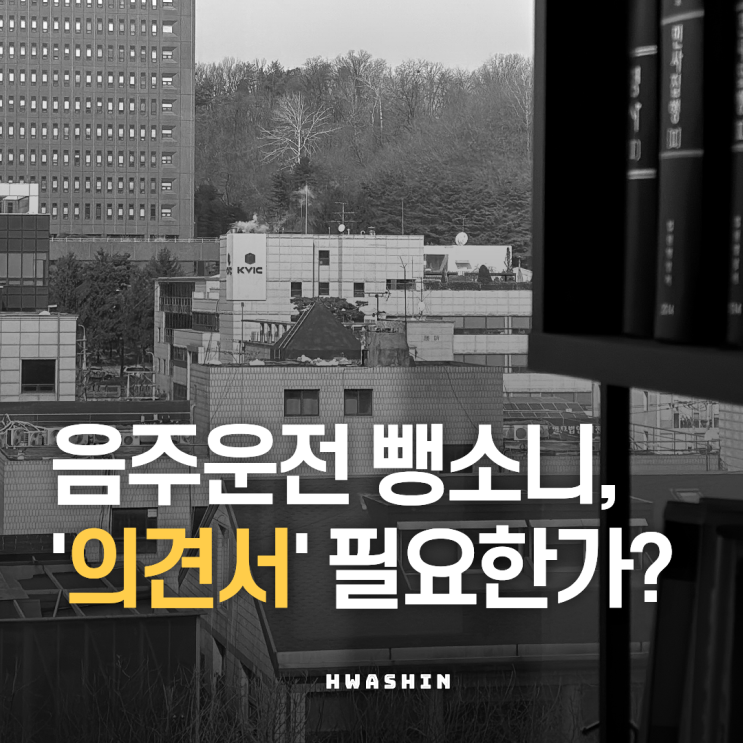  음주운전의견서 효과가 컸던 뺑소니 도주치상 사건