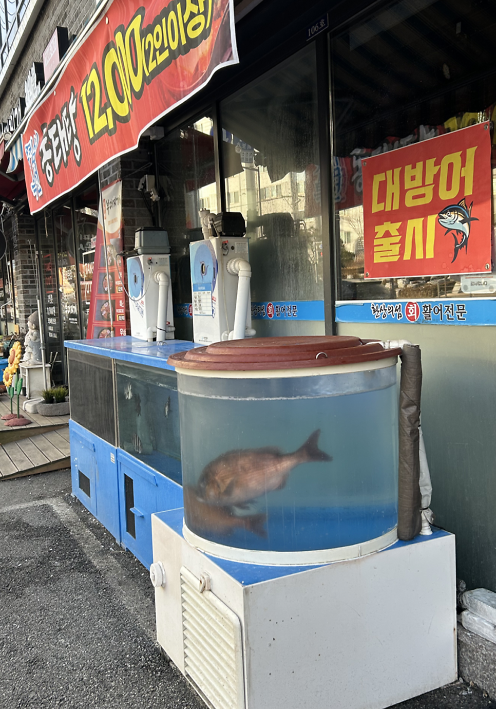 환상의섬 사진 2