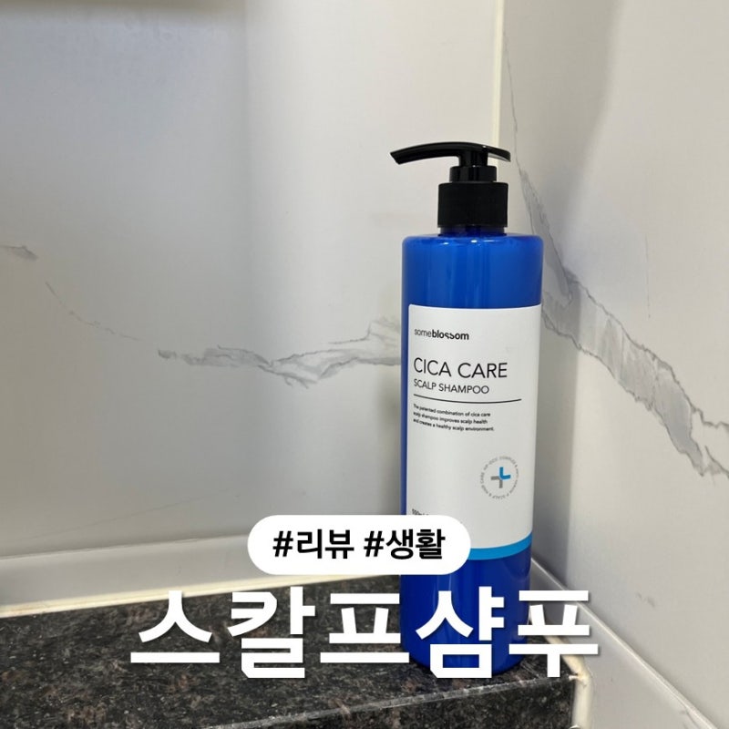 지루성두피염샴푸 비듬샴푸 추천 썸블라썸 시카케어 스칼프샴푸
