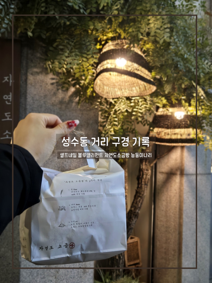  성수동 거리 구경 기록｜셀프네일 블루엘리펀트 자연도소금빵 능동미나리