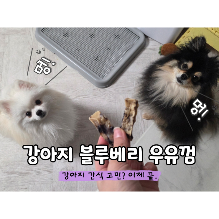  강아지 우유껌 만들기 블루베리로 만드는 수제간식, 에어프라이어 하나로 끝