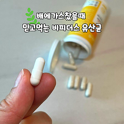  배에가스찼을때 믿고먹는 비피더스균 100억유산균