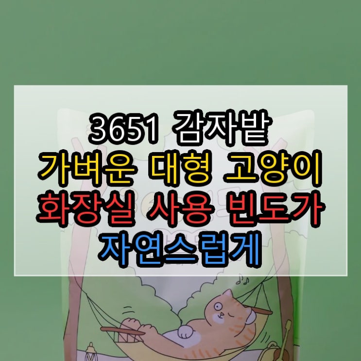  3651 감자밭 가벼운 대형 고양이 화장실 사용 빈도가 자연스럽게 늘어납니다