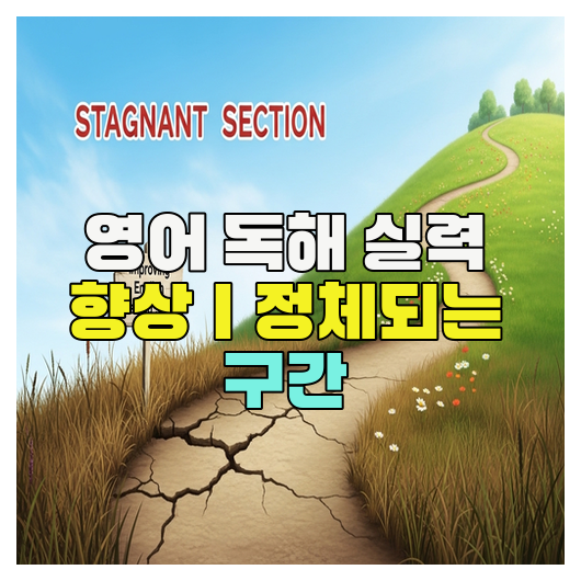  영어 독해 실력 향상｜정체되는 구간