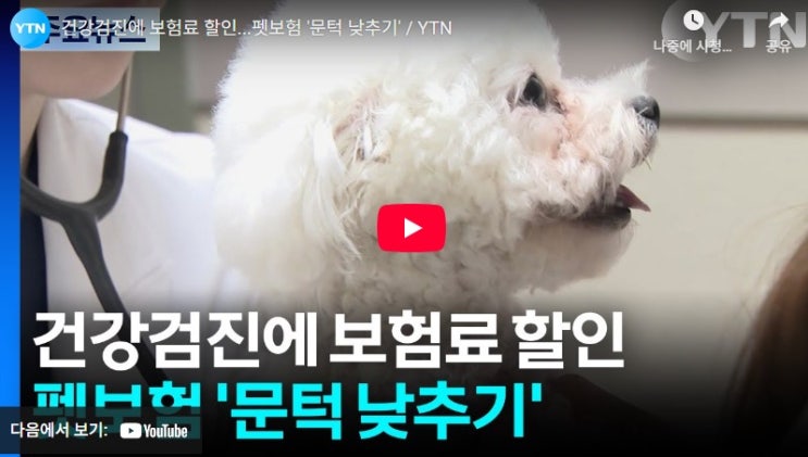 건강검진에 보험료 할인...펫보험 '문턱 낮추기'[YTN]
