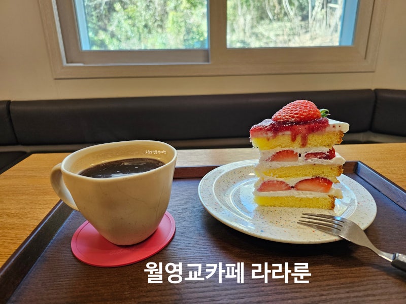 사진 7