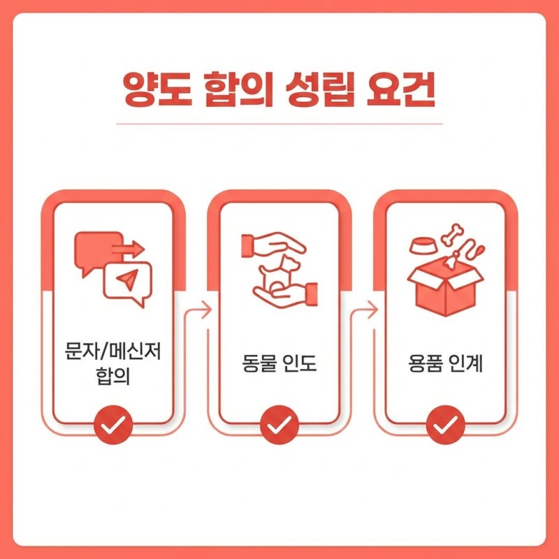 길고양이 구조 후 소유권, 내가 키웠으니 당연히 내 것일까 실무 기준 정리 관련 이미지 5