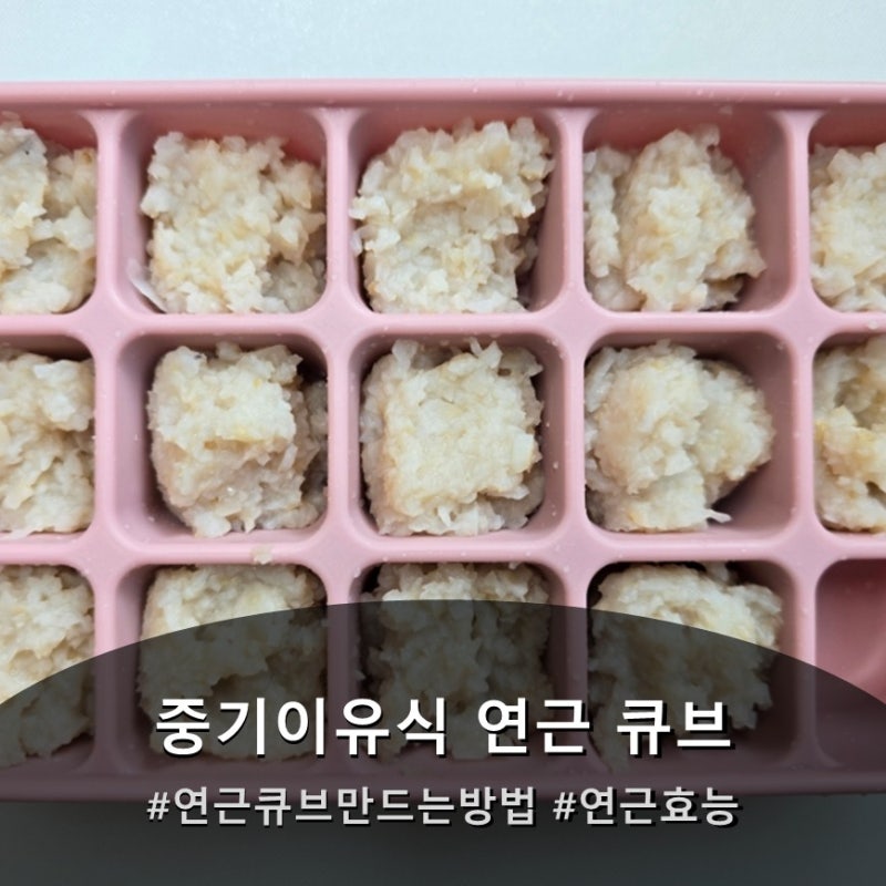 중기이유식 연근 큐브 만드는 방법 연근 효능