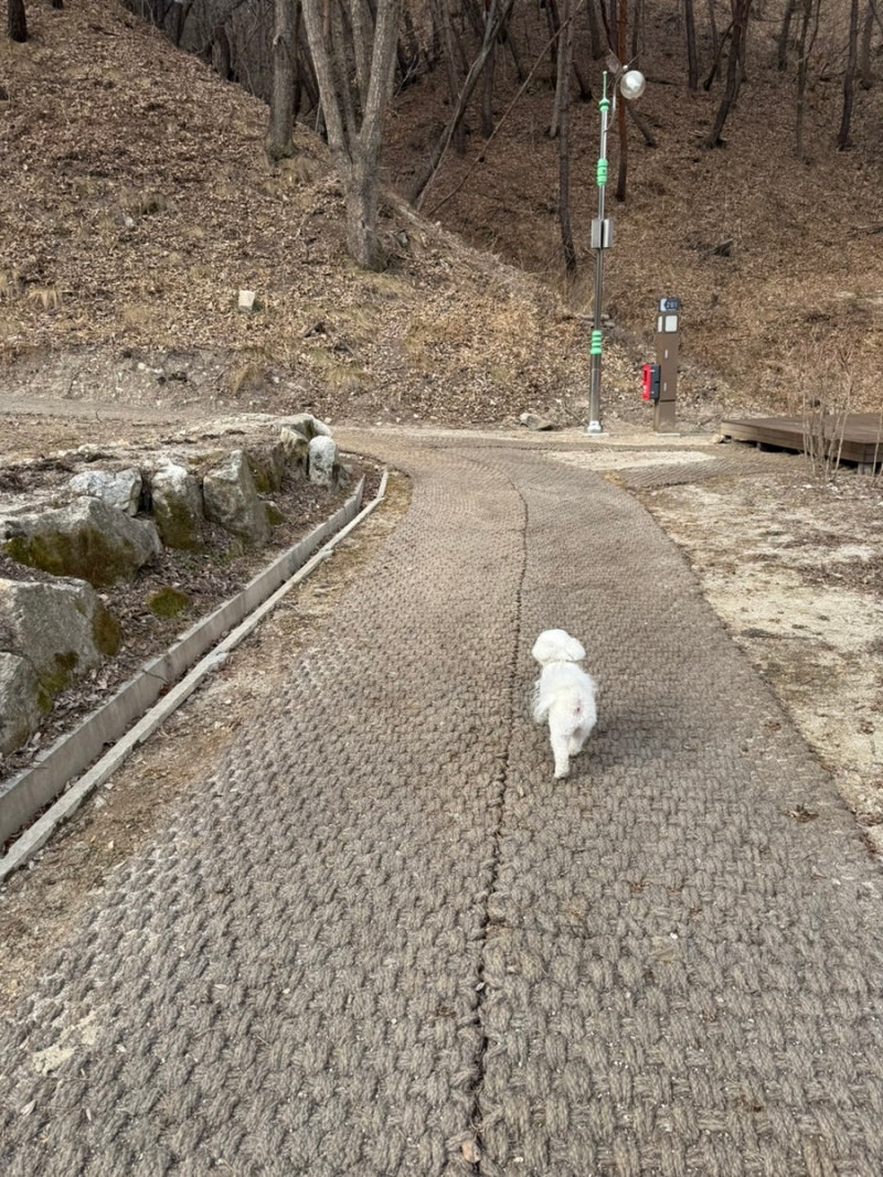 사진 6