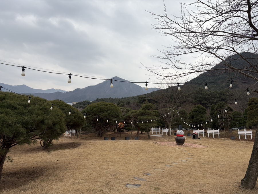 날빛 사진 6