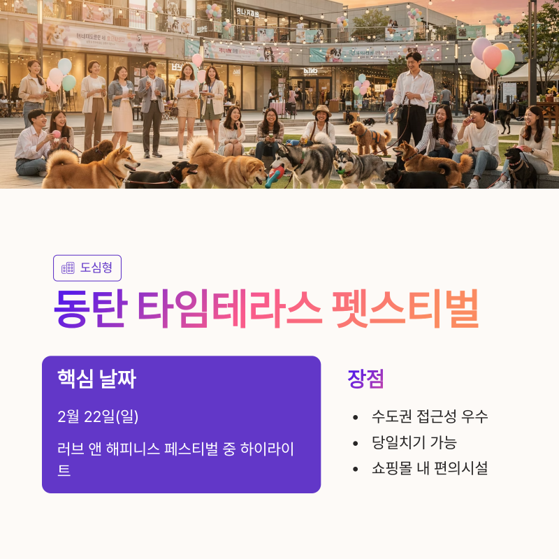사진 10