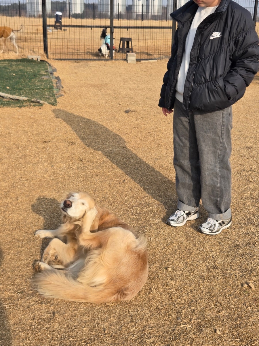 쿠치아 사진 6