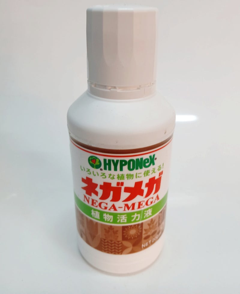 메네델 집착은 이제 그만! 완벽한 대체품, 네가메가