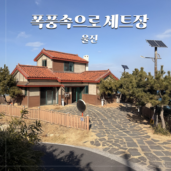 사진 3