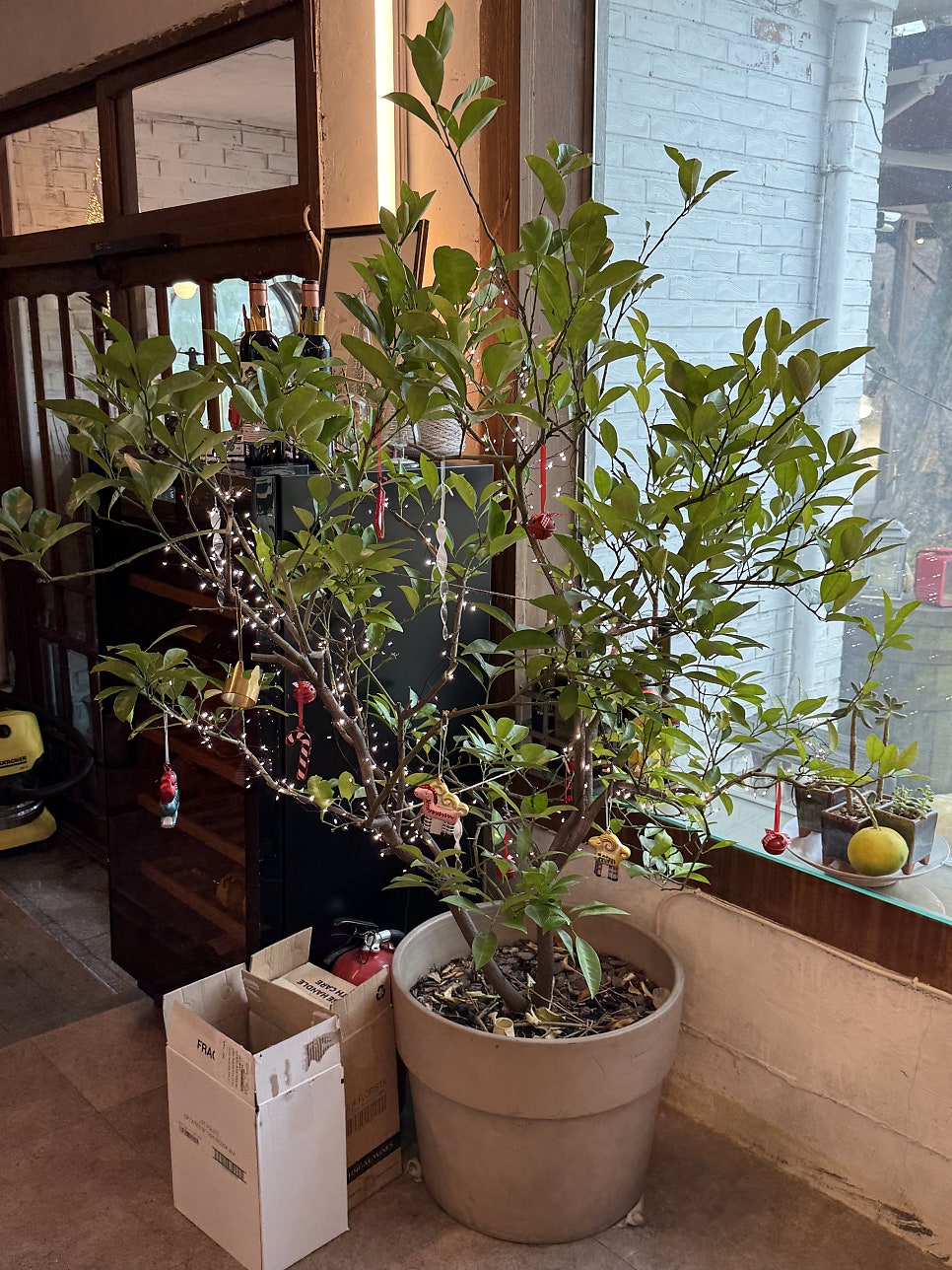 이태리회관 사진 4