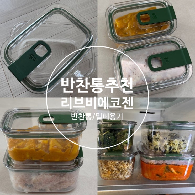  식세기, 전자레인지 가능 보관용기 추천 리브비 에코젠 밀폐용기 사용후기