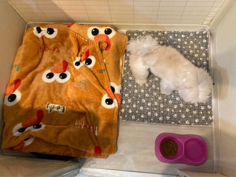 사진 3