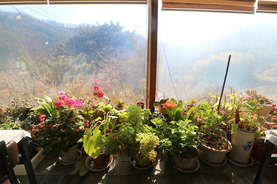 초리연 사진 6
