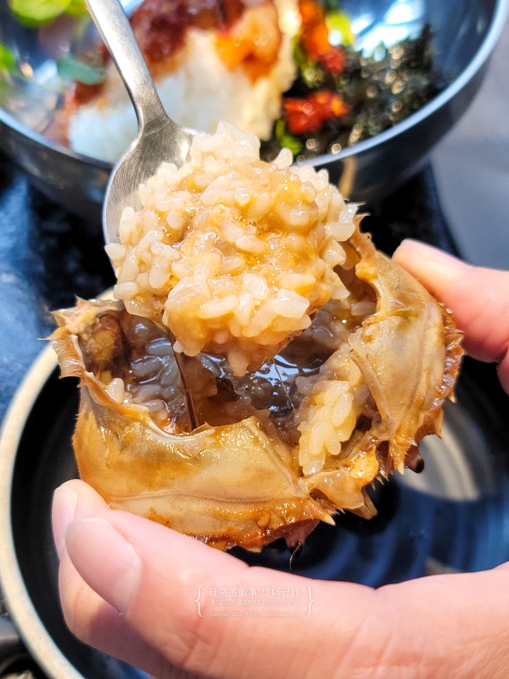  광주 수완지구 점심 맛집 배프로 게장백반 황게 광산구 광주 게장 맛집