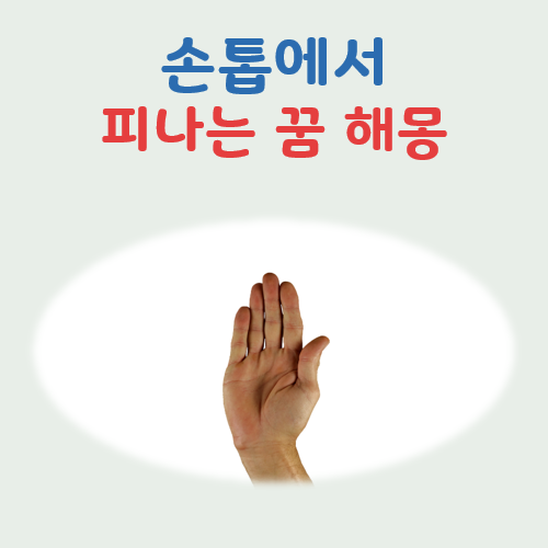 손톱에서 피나는 꿈 해몽, 우리는 무엇에 대비해야 할까?