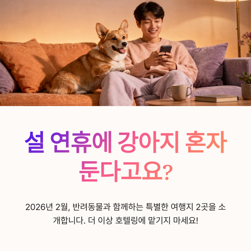 사진 8