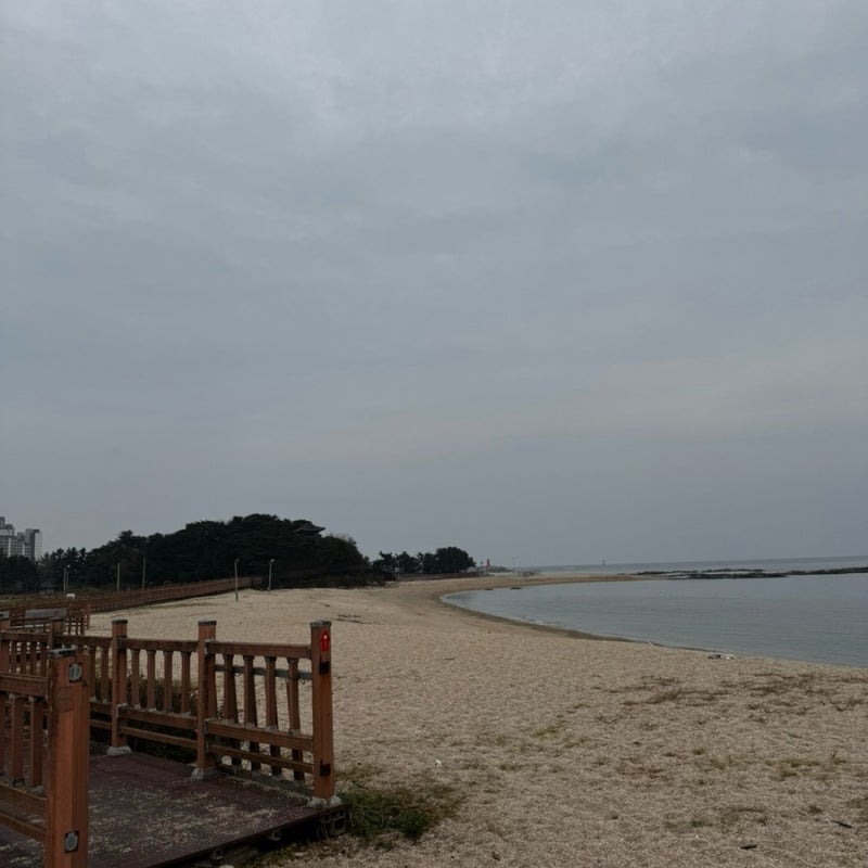 사진 2