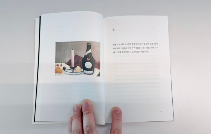  타이핑 필사 『초』 by 눈사람 자살 사건 - 최승호