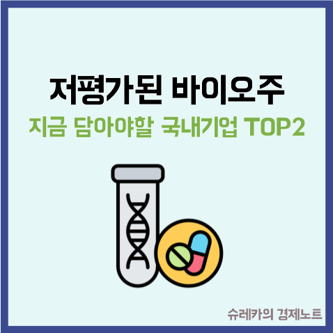  저평가된 바이오주 지금 담아야 할 국내기업 TOP 2
