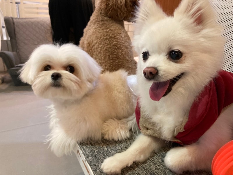 사진 2