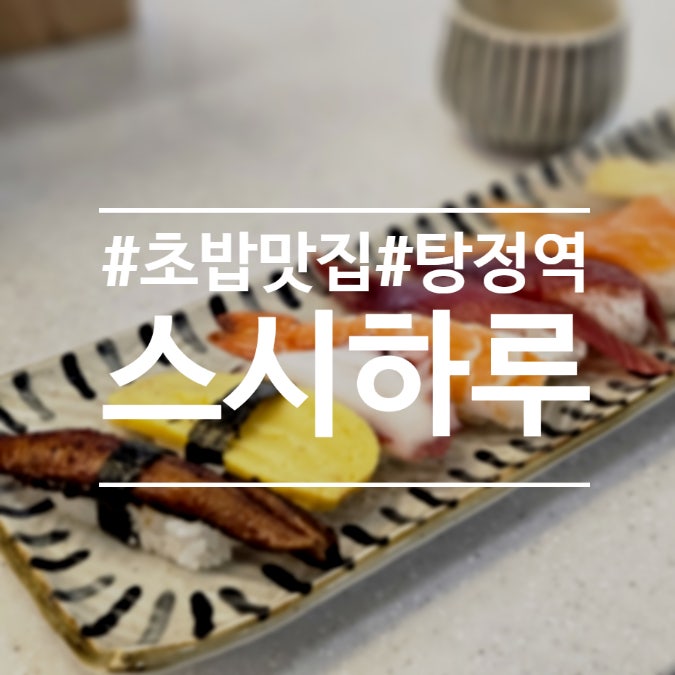  탕정역 맛집) 재료에 진심인 신선한 초밥 먹으러 스시하루