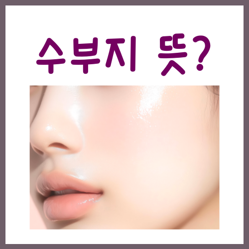  수부지 뜻? 이 글 하나로 <총정리>