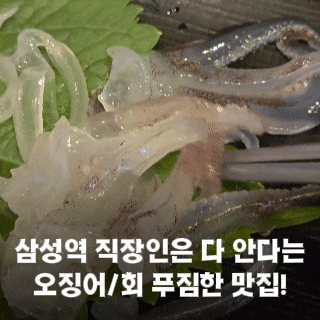  오징어세상 삼성역 횟집 해산물 회식 모임 강남 맛집