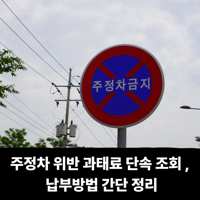  주정차 위반 과태료 단속 조회 및 납부방법 간단 정리
