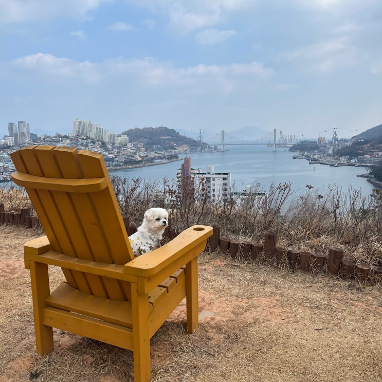  여수 여행 가볼만한곳 바다뷰 전망대 여행지 추천 남산공원