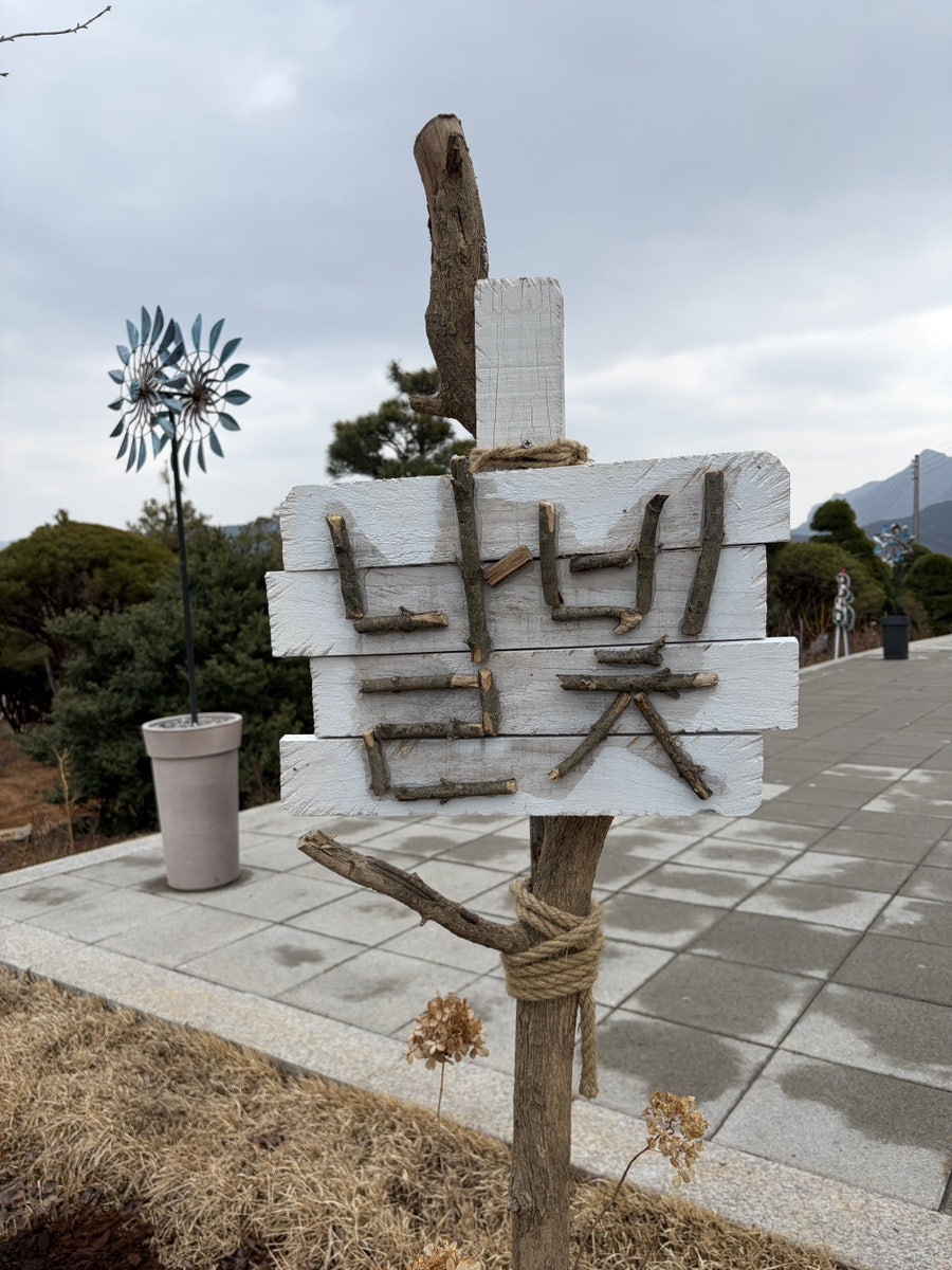 날빛 사진 3