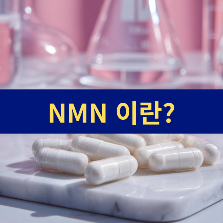  NMN 효능 NMN 영양제 엔엠엔 효능 | 노화 지연 젊음 유지