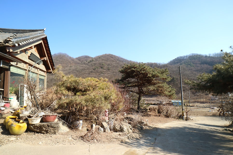 초리연 사진 1
