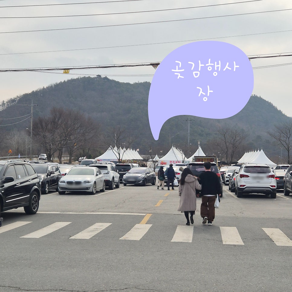 고산미소 본점 사진 3