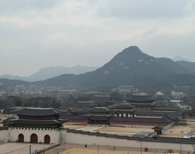 설 연휴 서울 나들이: 경복궁 뷰 끝판왕 '대한민국역사박물관' 방문 후기 !